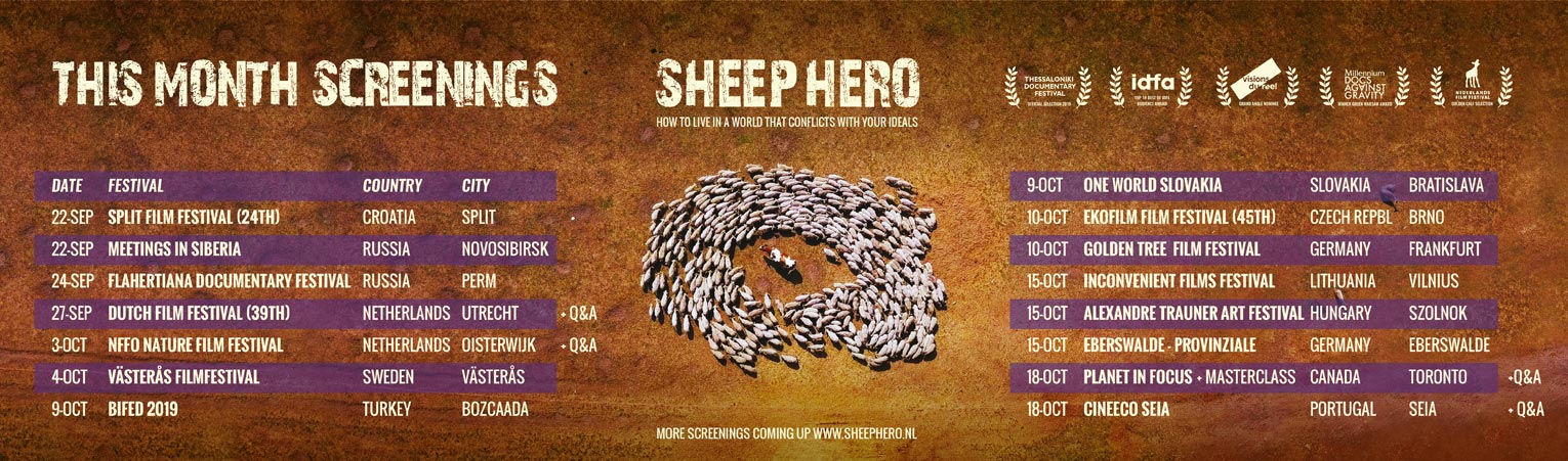 SHEEP_HERO_This-month-Screenings