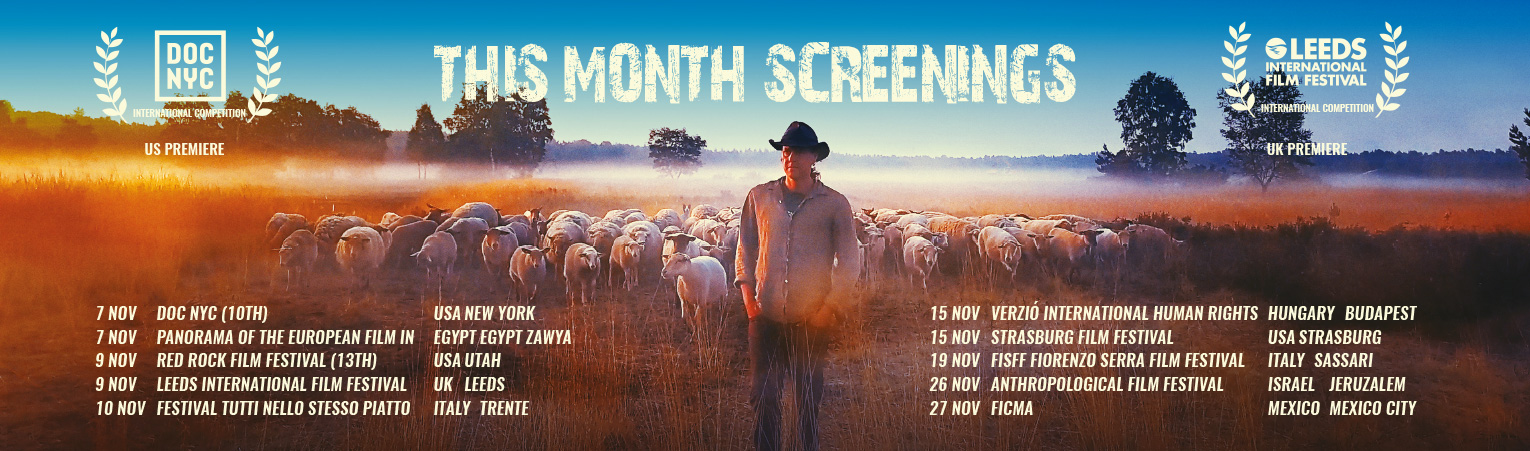 November-screenings