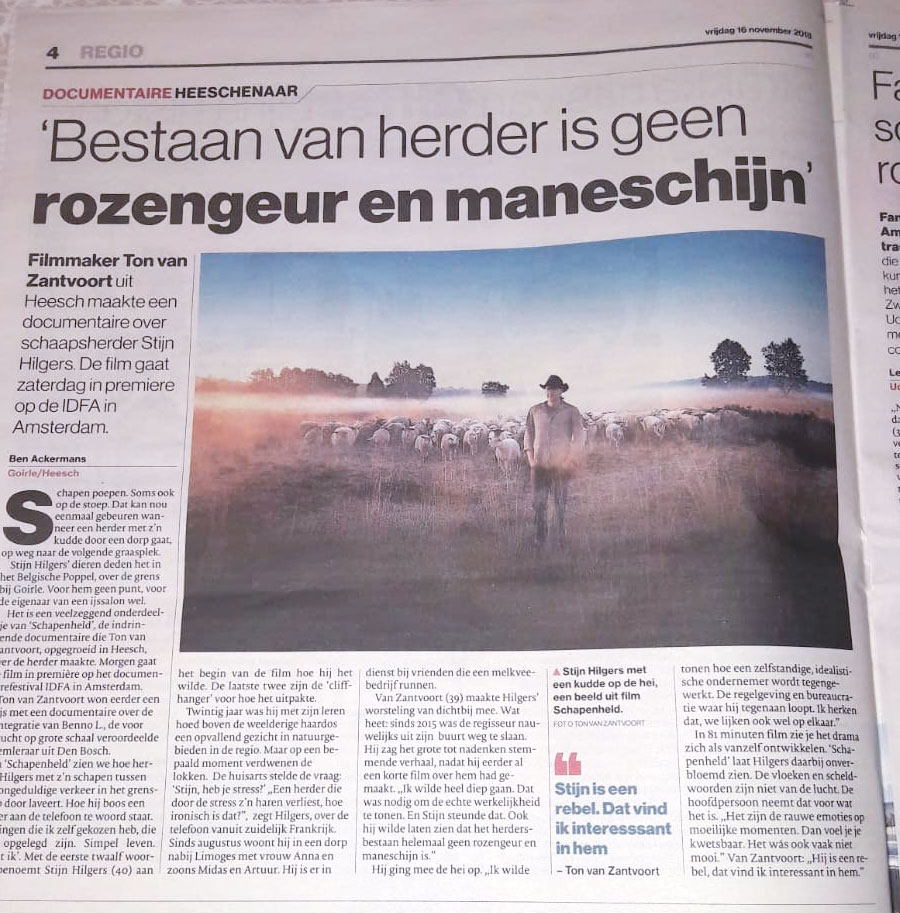 Brabants-Dagblad-Schapenheld_ton-van-zantvoort