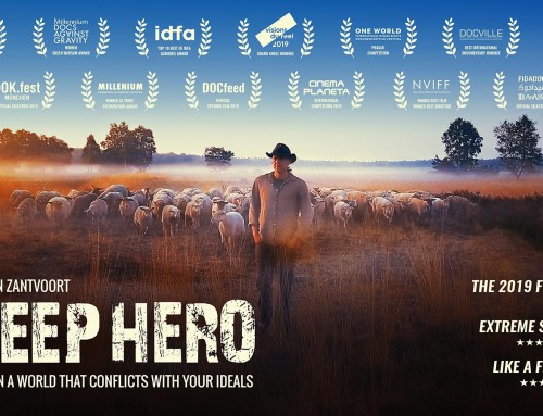 SHEEP HERO