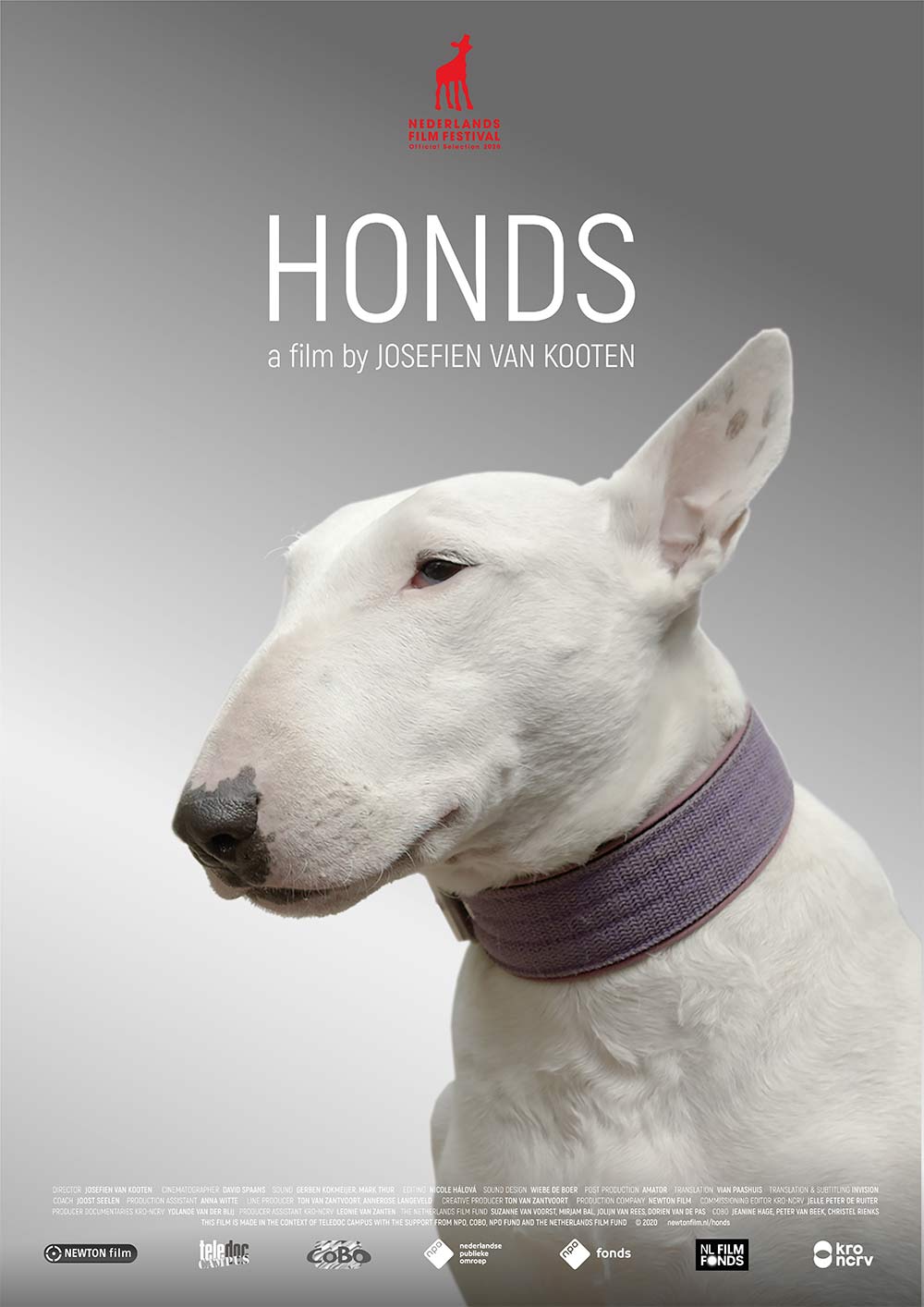 poster-HONDS_a-NEWTON-film-by-Josefien-van-Kooten