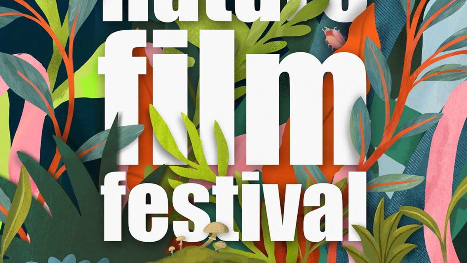 INFF_Filmfestival Innsbruck