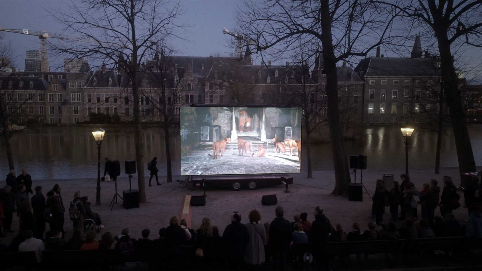 Binnenhof renovatie films Het Hof van de Leeuw Schelpenpad
